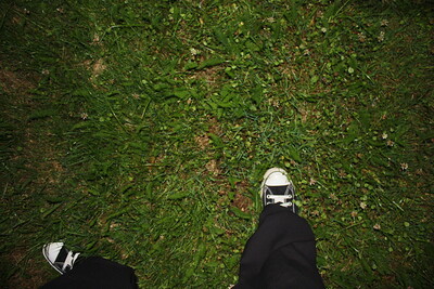 Standing On Grass